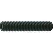 B631020 [TRUSCO 六角穴付き止めネジ 平先 スチール M10X20 30本入]
