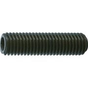 B631210 [TRUSCO 六角穴付き止めネジ 平先 スチール M12X10 20本入]