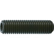 B631255 [TRUSCO 六角穴付き止めネジ 平先 スチール M12X55 8本入]