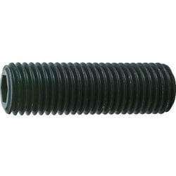 TRUSCO 六角穴付き止めネジ 平先 スチール M20X65 1本入 B632065