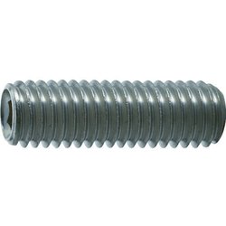 TRUSCO 六角穴付止めネジ 平先 ステンレス M5x6 55本入 B770506