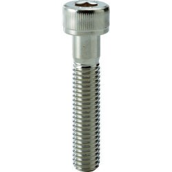 TRUSCO 六角穴付ボルト スチール メッキ 半ねじ M16×65 2本入 Y1541665