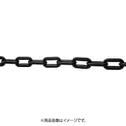 TPCB62BK [TRUSCO プラチェーン 黒 6MM×2M]