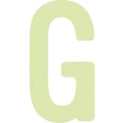 AILUMI50G [IM 中輝度蓄光カッテイング文字 英字 G]