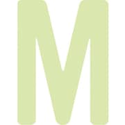 AILUMI50M [IM 中輝度蓄光カッテイング文字 英字 M]