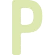 AILUMI50P [IM 中輝度蓄光カッテイング文字 英字 P]