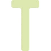 AILUMI50T [IM 中輝度蓄光カッテイング文字 英字 T]