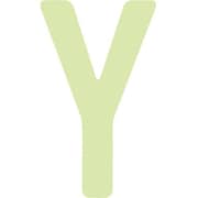 AILUMI50Y [IM 中輝度蓄光カッテイング文字 英字 Y]