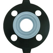 エスロン PTFE(テフロン)パッキン 30A JIS10K PP30