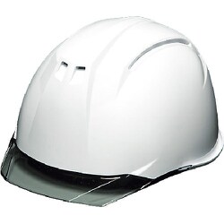 AA11EVOCHA6KPWS [DIC 透明バイザーヘルメット AA11EVO-C KP 白/スモーク]