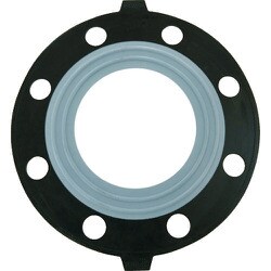 エスロン PTFE(テフロン)パッキン 100A JIS10K PP1H