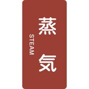 385401 [緑十字 配管識別ステッカー 蒸気 80×40mm 10枚組 アルミ 英文字入]