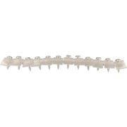 10176068 [ダイドーハント ショート連結波板ビス 12連×2本(24本入) 4.2×23mm クリア]