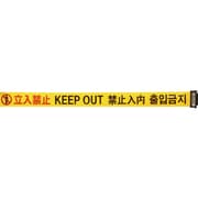 3M3A0057 [Reelex バリアリールLong交換用シート]