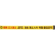 3M3A0058 [Reelex バリアリールLong交換用シート]