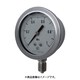 グリセリン入圧力計 接続ネジ：G1/4B GV501232.0MP