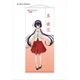 文豪ストレイドッグス DEAD APPLE 描き下ろしイラスト 等身大タペストリー 泉鏡花 [キャラクターグッズ]