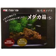 趣味のメダカ メダカ箱（S） [水槽]