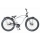 シティサイクル 26インチ メンズ シングルギア ポリッシュ×グロスブラック PCH101 Grease 3.5 Single Chrome