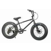 ファットバイク 20インチ 外装7段変速 BRONX 20DD Matte Black/Black rim