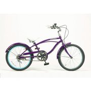 子ども用自転車 Feeling of Decks 20 Purple / Sky Blue