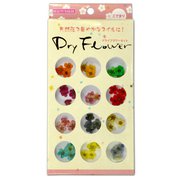ドライフラワーセット DRF-1 こでまり 小手毬