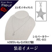 pflBRCZ ネックレス pfl-011