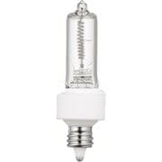 JCV標準タイプ 300W JCV100V300WGS