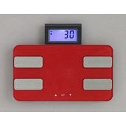 体重体組成計 レッド WBCM-6C