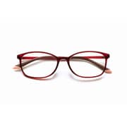 老眼鏡 PINTGLASSES(ピントグラス) +0.6~+2.5 レッド PG-707-RE