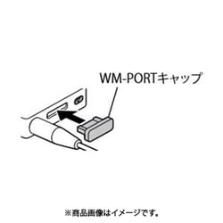 RUBBER CAP(WM) 4-698-346-01