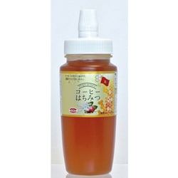 ベトナム産純粋コーヒーはちみつ(ポリ) 250g [甘味料]