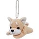 53108 プレミアムミニパピー ボールチェーンマスコット 柴犬 [キャラクターグッズ]