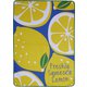 A109LE [LEMONADE PICTORIAL レジャーシート]