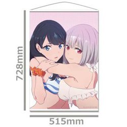 SSSS.GRIDMAN 新条アカネ B2タペストリー 新条アカネ B2タペストリー [SSSS.GRIDMAN] | キャラクター公式