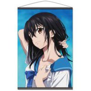 OVA ストライク・ザ・ブラッドlll B2タペストリーA 姫柊雪菜 [キャラクターグッズ]