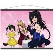 OVA ストライク・ザ・ブラッドlll B2タペストリーB 姫柊雪菜＆藍羽浅葱＆暁 凪沙 [キャラクターグッズ]