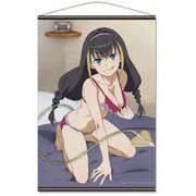 とある魔術の禁書目録III B2タペストリーD レッサー [キャラクターグッズ]