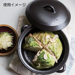 ヨドバシ.com - トウジキトンヤ TOJIKI TONYA 萬古焼 耐熱 IH