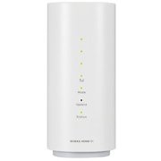 NAS31(W) [モバイルルーター Speed Wi-Fi NEXT W03]