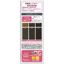 ヨドバシ.com - パルティ Palty パルティ 泡のヘアカラー アイスグレージュ 通販【全品無料配達】