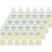 自然派Water レモン 500ml×24本