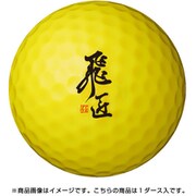 18 飛匠 RED LABEL 極 DZ YE [ゴルフボール 1ダース（12球入り） イエロー]