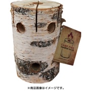 スウェディッシュトーチ パーティー(白樺) [薪]