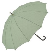 12ホンボネドット 長傘 55cm グリーン 1379