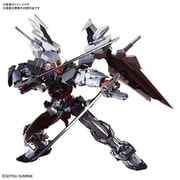 HiRM 機動戦士ガンダムSEED DESTINY ASTRAY B ガンダムアストレイ ノワール [1/100スケール ガンダムプラモデル]