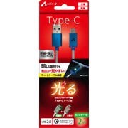 LEDインジケーター搭載TYPE-Cケーブル2M BL UCJ-LED200 BL