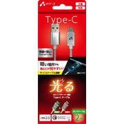 LEDインジケーター搭載TYPE-Cケーブル2M SL UCJ-LED200 SL