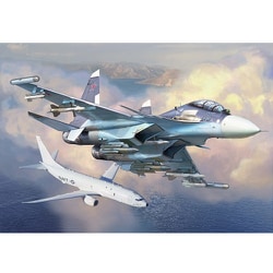 ヨドバシ.com - ズベズダ ZV7314 スホーイ SU-30 SM [1/72スケール