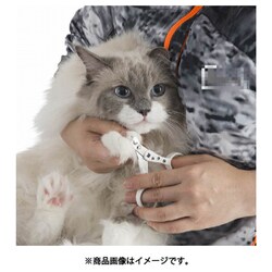 ヨドバシ.com - 猫壱 ストレスなくスパッと切れる猫用爪切り 通販